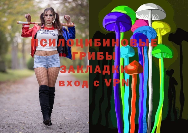 тгк Беломорск