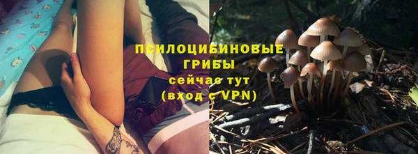 тгк Беломорск